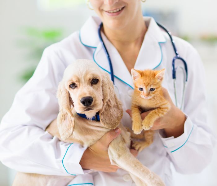 a person holding a dog and a cat