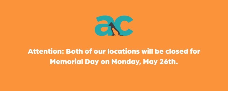 memorial day pop up